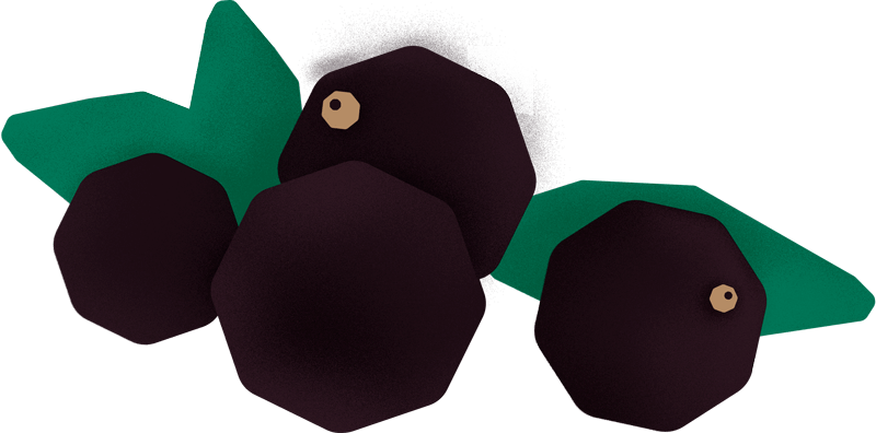 Extrato de açaí